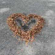 ヒメ日記 2025/12/18 20:00 投稿 みと THE ESUTE 五反田店