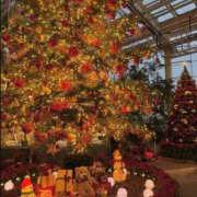 ヒメ日記 2025/12/24 15:40 投稿 みと THE ESUTE 五反田店