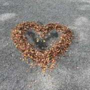 ヒメ日記 2025/12/18 20:07 投稿 みと THE ESUTE 渋谷