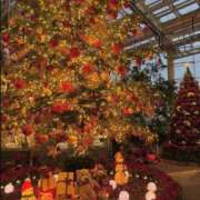 ヒメ日記 2025/12/24 15:37 投稿 みと THE ESUTE 渋谷