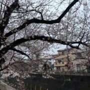 ヒメ日記 2026/03/28 09:29 投稿 ひまり 奥様はエンジェル　立川店