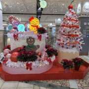 ヒメ日記 2025/11/20 15:29 投稿 せいな 完熟ばなな 谷九店