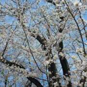 ヒメ日記 2026/03/07 17:25 投稿 さよ 大宮人妻デリヘル～大人の事情～