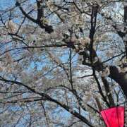 ヒメ日記 2026/03/29 20:15 投稿 さよ 大宮人妻デリヘル～大人の事情～