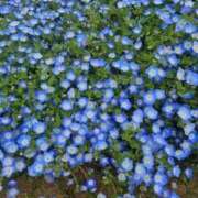 ヒメ日記 2026/04/20 08:55 投稿 さよ 大宮人妻デリヘル～大人の事情～