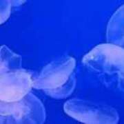 ヒメ日記 2026/05/07 07:35 投稿 さよ 大宮人妻デリヘル～大人の事情～