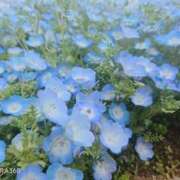 ヒメ日記 2026/05/07 10:05 投稿 さよ 大宮人妻デリヘル～大人の事情～