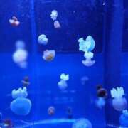 ヒメ日記 2026/09/04 08:05 投稿 さよ 大宮人妻デリヘル～大人の事情～