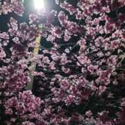 ヒメ日記 2026/03/12 19:00 投稿 みお★感度抜群未経験若妻 新妻物語