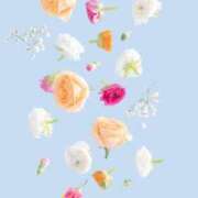 ヒメ日記 2026/01/31 18:08 投稿 ゆま 尼妻（あまづま）