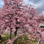 ヒメ日記 2026/03/25 15:47 投稿 瞳/ひとみ ギャルズネットワークネクスト 奈良