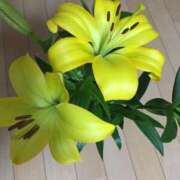 ヒメ日記 2025/11/08 09:58 投稿 なお 埼玉熊谷ちゃんこ