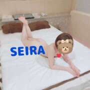 ヒメ日記 2025/12/20 11:12 投稿 高松せいら 五十路マダム　和歌山店