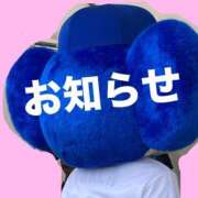 ヒメ日記 2026/01/27 12:04 投稿 高松せいら 五十路マダム　和歌山店