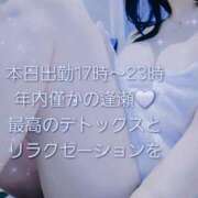 ヒメ日記 2025/12/23 12:16 投稿 かも 花夫人