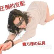 ヒメ日記 2025/12/30 22:15 投稿 かも 花夫人