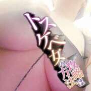 ヒメ日記 2026/01/07 13:45 投稿 かも 花夫人