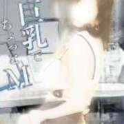 ヒメ日記 2026/01/15 23:27 投稿 かも 花夫人