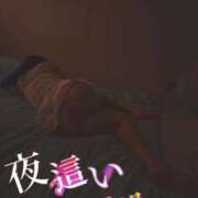 ヒメ日記 2026/01/25 18:45 投稿 かも 花夫人