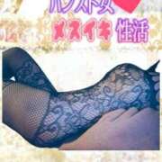 ヒメ日記 2026/02/07 07:15 投稿 かも 花夫人