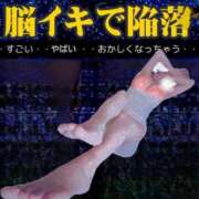 ヒメ日記 2026/02/12 13:01 投稿 かも 花夫人