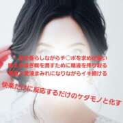 ヒメ日記 2026/02/12 23:45 投稿 かも 花夫人