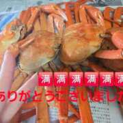 ヒメ日記 2026/03/05 07:45 投稿 かも 花夫人