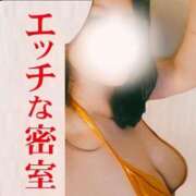 ヒメ日記 2026/03/19 10:31 投稿 かも 花夫人