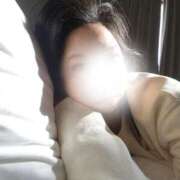 ヒメ日記 2026/03/20 07:45 投稿 かも 花夫人