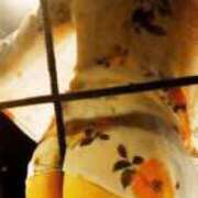 ヒメ日記 2026/04/12 21:46 投稿 かも 花夫人