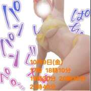 ヒメ日記 2026/10/07 00:15 投稿 かも 花夫人