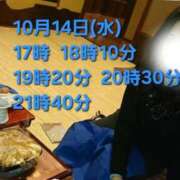 ヒメ日記 2026/10/14 13:21 投稿 かも 花夫人
