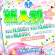 ヒメ日記 2025/11/14 01:17 投稿 ちあき 素人ぽちゃカワ学園