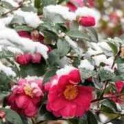 ヒメ日記 2026/02/09 12:29 投稿 ゆきこ 完熟ばなな 谷九店