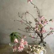 ヒメ日記 2026/03/31 09:59 投稿 ゆきこ 完熟ばなな 谷九店