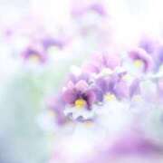 ゆきこ お礼♪ 完熟ばなな 谷九店