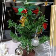 ヒメ日記 2025/12/10 03:24 投稿 さあや デリトップ