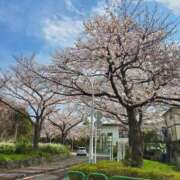 ヒメ日記 2026/03/28 10:49 投稿 さあや デリトップ