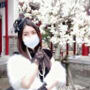 ヒメ日記 2025/11/09 08:06 投稿 いずみ 姫コレクション 高崎前橋店