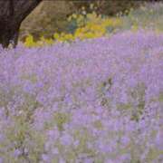 ヒメ日記 2025/11/16 22:55 投稿 ももな 東京メンズボディクリニック TMBC 立川店