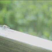 ももな 最近 東京メンズボディクリニック TMBC 立川店