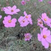 ももな 本日も 東京メンズボディクリニック TMBC 立川店