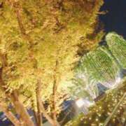 ヒメ日記 2025/12/07 12:38 投稿 ももな 東京メンズボディクリニック TMBC 立川店