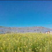 ヒメ日記 2025/12/15 12:03 投稿 ももな 東京メンズボディクリニック TMBC 立川店