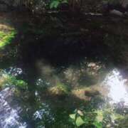 ヒメ日記 2025/12/16 19:12 投稿 ももな 東京メンズボディクリニック TMBC 立川店