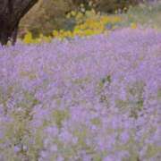 ヒメ日記 2026/01/05 07:28 投稿 ももな 東京メンズボディクリニック TMBC 立川店