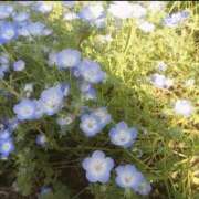 ヒメ日記 2026/01/21 11:20 投稿 ももな 東京メンズボディクリニック TMBC 立川店