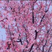 ヒメ日記 2026/02/08 11:00 投稿 ももな 東京メンズボディクリニック TMBC 立川店