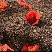 ヒメ日記 2026/02/11 11:21 投稿 ももな 東京メンズボディクリニック TMBC 立川店