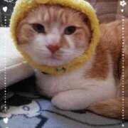 ヒメ日記 2025/11/22 15:38 投稿 保坂しおん 五十路マダムエクスプレス横浜店（カサブランカグループ）